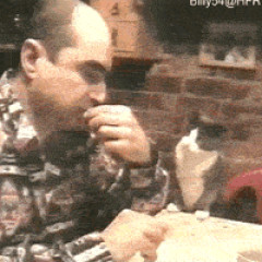 【GIF】 人間と猫の意思疎通は可能っぽい模様【再】