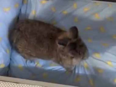 かわいい彼女は寝る時間になった。これが私のルーティン♪ → ベッドの上でこうします…