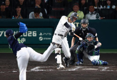 佐藤さん、38号ホームランで今年の3割を確定させるwww