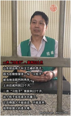 日の丸を傷つけたら処罰「国旗損壊罪」に日弁連が即時廃止求める「表現の自由が失われかねない」