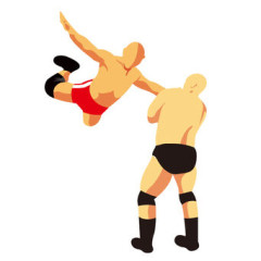 【画像】プロレスラーって場外に向かって飛ぶと受け止めようとするけど、あれって八百長？ｗｗｗｗｗｗｗｗｗｗｗｗｗｗｗｗ