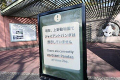 【悲報】パンダの中国返還以降、上野動物園の入園者数がおよそ2割減少