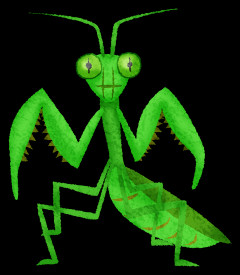 【画像】カマキリ、ヤってたｗｗｗｗｗｗｗｗｗｗｗｗｗｗｗｗ