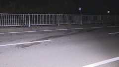 【悲報】いなくなった飼い犬を探して･･･路上で発見し外に出た大学生　後続車にはねられ意識不明