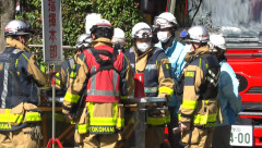 【悲報】幼稚園児5人がキイロスズメバチに刺される