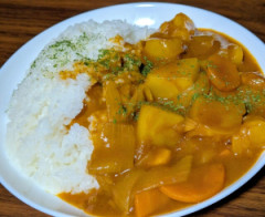ゴロゴロカレーや