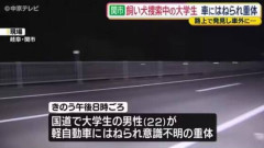 これはやりきれない…脱走した飼い犬を捜索中、路上で死んでいる飼い犬を見つけ車から降りたところ後続車にはねられ重体
