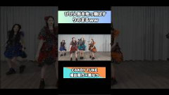 びび人形を吹っ飛ばすりのまるww