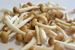 「しめじ」を一番美味く食べる方法ｗｗｗｗｗ
