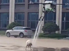 ソーラーパネル洗浄用だというドローンがなぜか犬を洗う、当のぽっちゃり犬はされるがまま【海外の反応】