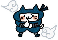 【画像】忍者猫、見つかるｗｗｗｗｗｗｗｗｗｗｗｗｗｗｗｗ