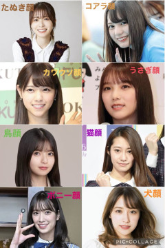 【画像あり】ポニー顔、可愛すぎるｗｗｗｗｗｗｗｗｗｗｗｗｗｗｗｗｗｗｗ