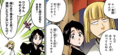 【BLEACH】平子と雛森の夫婦感好き