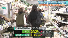 【悲報】長雨と日照不足で葉物野菜の価格高騰､レタス1玉400円超 パニック級高値の恐れ