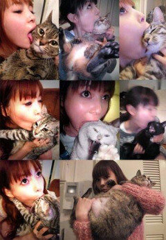【悲報】中川翔子、愛猫の死を報告「まだまだまだまだずーっと生きて欲しかった」