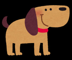 妻「○○（犬は6ヶ月）はいつから足をあげておしっこするの？」私「えっ？○○は女の子だよ？」