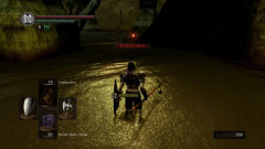 【悲報】『毒』が主人公側の攻撃手段として活躍するゲーム、無い……