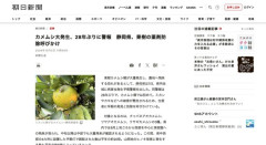 静岡でカメムシ大発生　警報発令