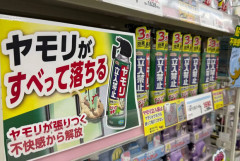 ヤモリを防ぐスプレー商品が「益獣なのになぜ？」と物議　アース製薬に「開発の経緯」聞いた