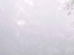 彼女がひとりぼっちで空を見上げていた。何を考えているのかな？ → ずっとこんな様子です…