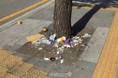 韓国人「海外旅行してみて最も清潔な国ってどこだった？」