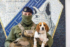 フランス陸軍第132陸軍犬大隊が新たな取り組みを開始…新犬種にビーグル犬を採用！