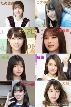 【画像】ポニー顔、可愛すぎるwwwwwwwwwwwwwwwwwwwwwww