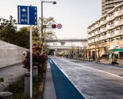チャリカス「どんなに危なくても車道走らなきゃ！（謎の使命感）」