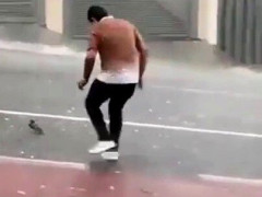 ひょうが降る道路の上でじっと動かない黒い鳥、男性が駆け出して両手でつかみ上げる「鳥を助ける人にはいつも高評価を押す」【海外の反応】