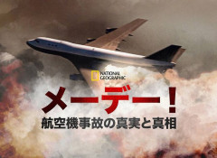 「『メーデー！』を見ていてよかった」乗客が操縦桿を引いて機体を安定！