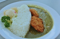 一番美味いカレー　一般人「カツカレー？」にわか「ゴーゴーカレー！」ガチ勢「グリーンカレー」