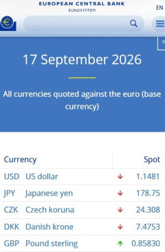 韓国人「日本円が基軸通貨である理由がこちらです」→「円が特別扱いされている姿‥（ﾌﾞﾙﾌﾞﾙ」
