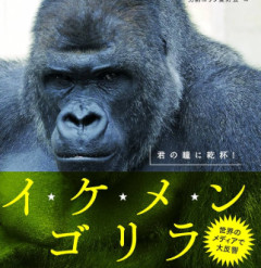 【動画】海外、この日本屈指のイケメンですら弱男扱いされてしまう