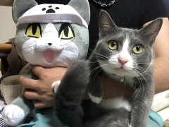 幼稚園で年長の息子が笹をもらってきたんだけど、息子の友達が「交換して！」とギャン泣き。息子は拒否。友達（ギャン泣き続行）するとママさんが笹を無理矢理持って帰ろうとした！
