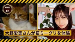 【猫乱入】大野愛実さんに人生初の猫ミーグリを体験してもらいました。※ミーグリレポ動画となります。