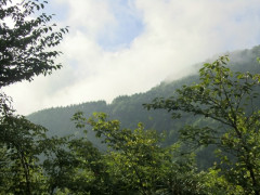 ありえないほど優秀でスーパーエリートな兄。その兄の出生の秘密を知った。たしかに兄は優しい、でもそれが衝撃的すぎて受け入れられない…,,,