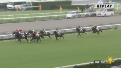 【競馬】ブエナビスタとルーラーシップの仔『ピュティアス』のデビュー戦は10着
