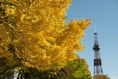 札幌民ワイ、ストーブを起動