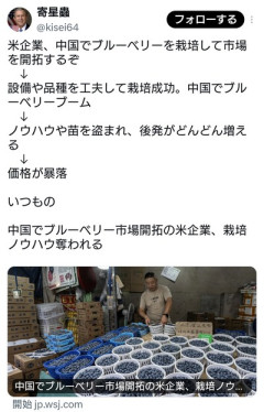 米企業、中国でブルーベリーを栽培して市場開拓→ノウハウや苗を盗まれ、後発が増えすぎ価格暴落