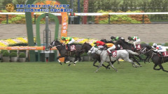 京都大賞典はエコロディノス、毎日王冠はセイウンハーデスが制す！　田口貫太騎手はJRA重賞初勝利！【ウマ娘民の反応】