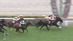 【競馬】毎日王冠は幸騎乗のセイウンハーデスがV