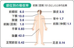 【朗報】陰嚢の外用薬吸収率、顔の7倍もあると判明