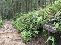 【悲報】おじいさん、世界遺産・高野参詣道でクマに襲撃されてしまう！！