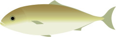 【画像】知らないおっさんからたくさん魚もらったｗｗｗｗｗｗｗｗｗｗｗｗｗｗｗｗ
