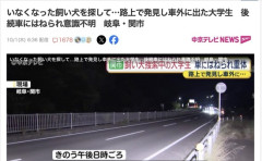 脱走した飼い犬を捜索中していた大学生、道路で死んでいる犬を見つけ車から降りたところ後続車にはねられ意識不明の重体
