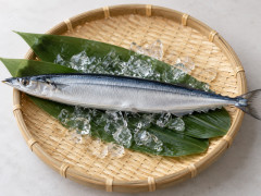 【悲報】秋刀魚の価格、限界突破