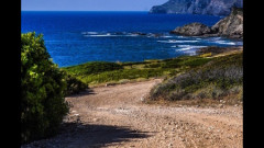 2026 WRC 第13戦 イタリア 結果