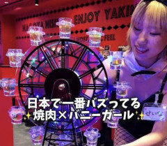 【画像】今一番バズってるバニーガール焼肉がこちらｗｗｗｗｗｗｗｗｗｗｗｗｗ
