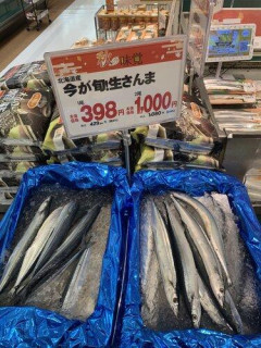 【悲報】秋刀魚の価格、限界突破
