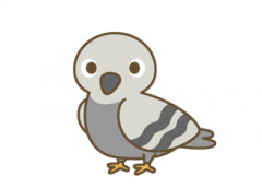 【悲報】 欧州の鳩、キモい・・・